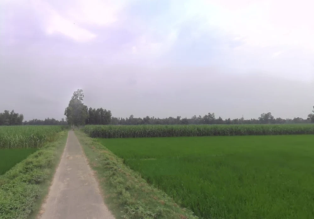 Deoie, Uttar Pradesh 224189, India