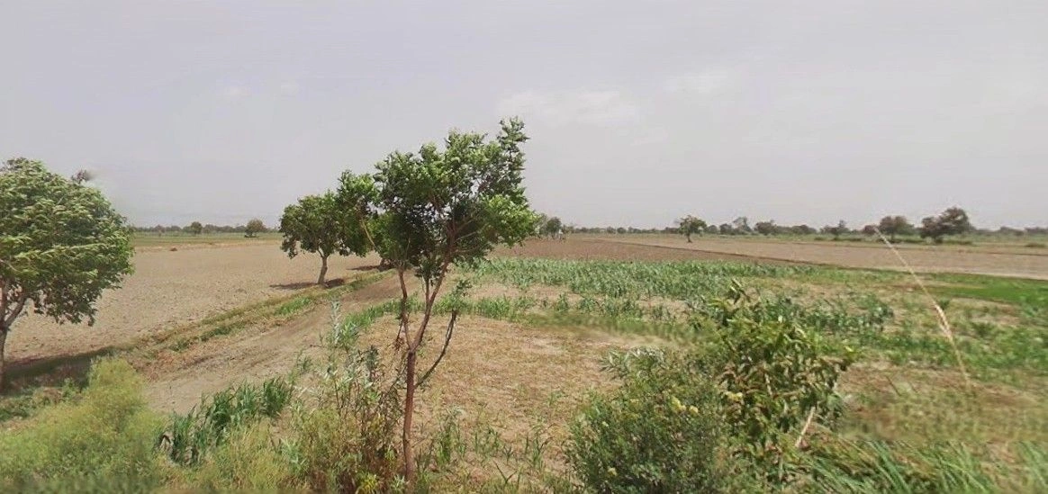 Kaladhungi, Uttarakhand 263140, India