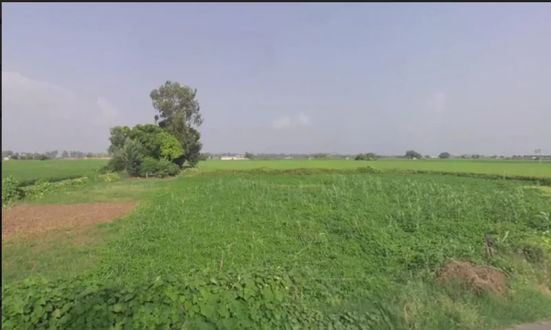 Khatoo, Rajasthan 332602, India preview 3