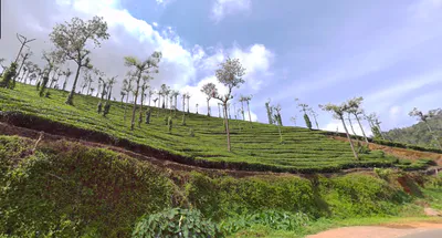 Kumily, Kerala, India preview 2