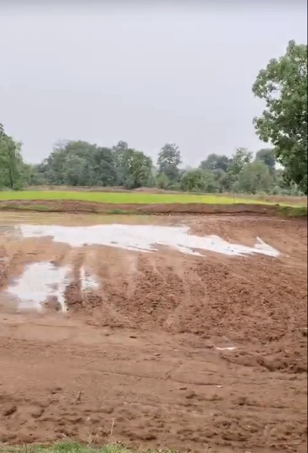 Sarai, Singrauli, Madhya Pradesh 486881, India