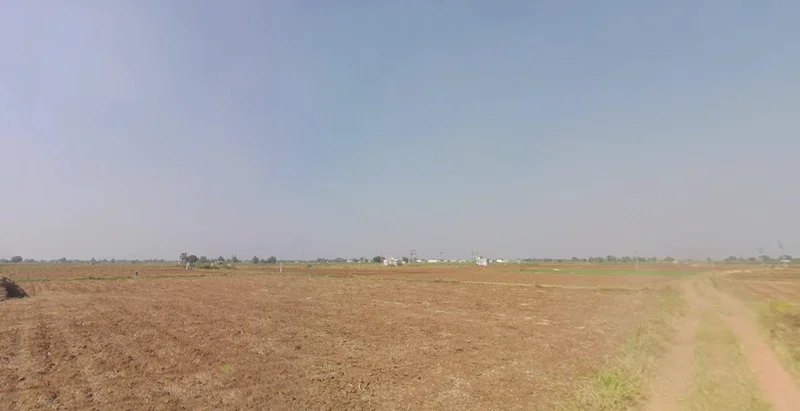 Sukhsar, Gujarat 389190, India preview 3