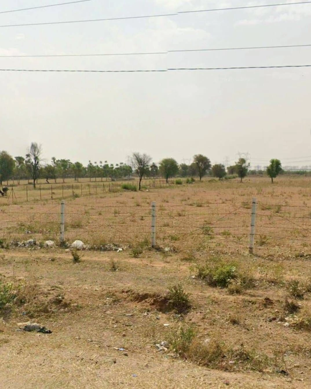MJGV+3C Harsooliya, Jaipur, Rajasthan, India