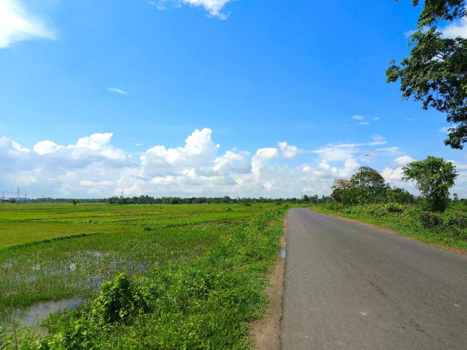 Lakhimpur, Uttar Pradesh 262701, India