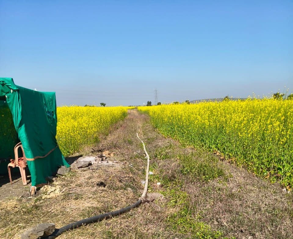 Suthaliya, Madhya Pradesh 465677, India