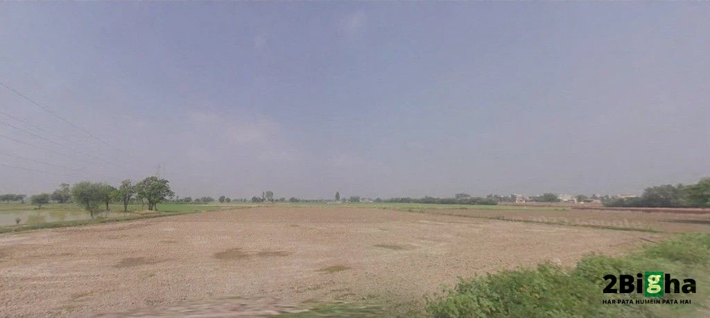 Geong, Haryana 136027, India