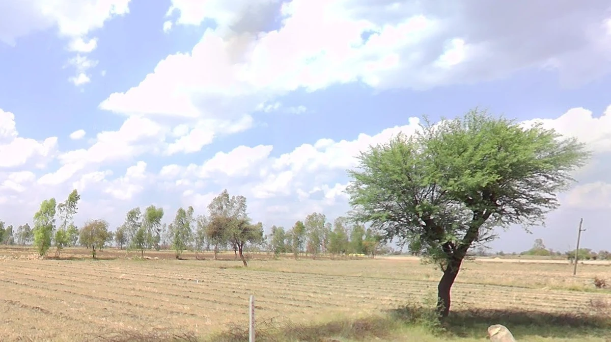 Karadiya, Madhya Pradesh 453001, India