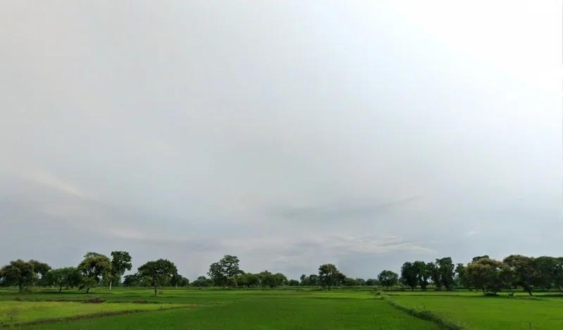 Tendukona, Chhattisgarh 493449, India preview 3