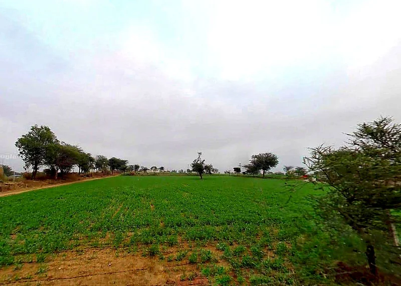 XF38+FWP, Kalakh, Rajasthan 303124, India preview 2