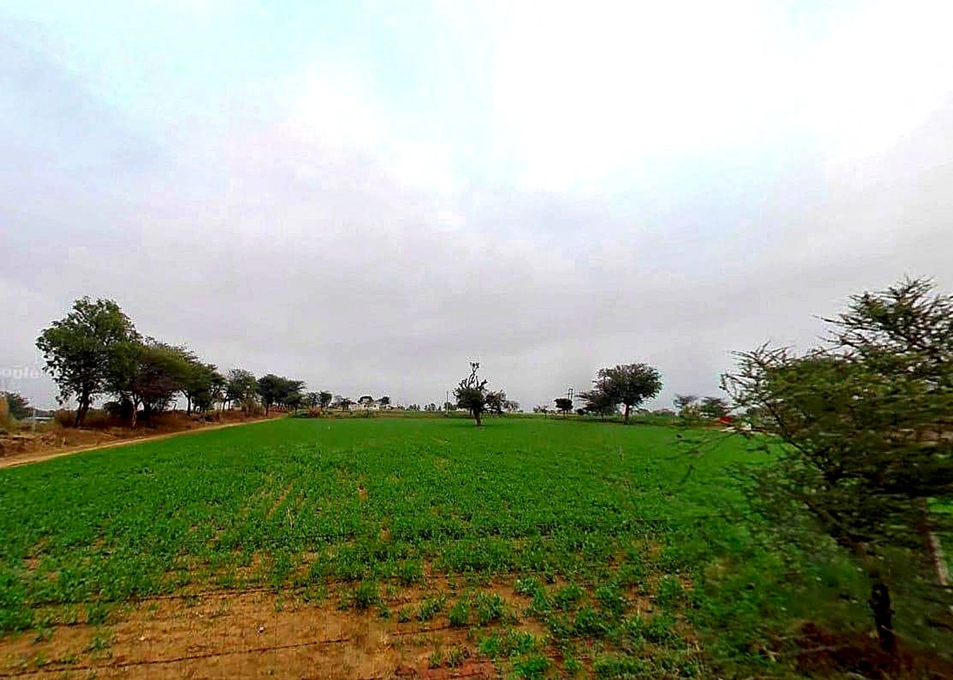 XF38+FWP, Kalakh, Rajasthan 303124, India