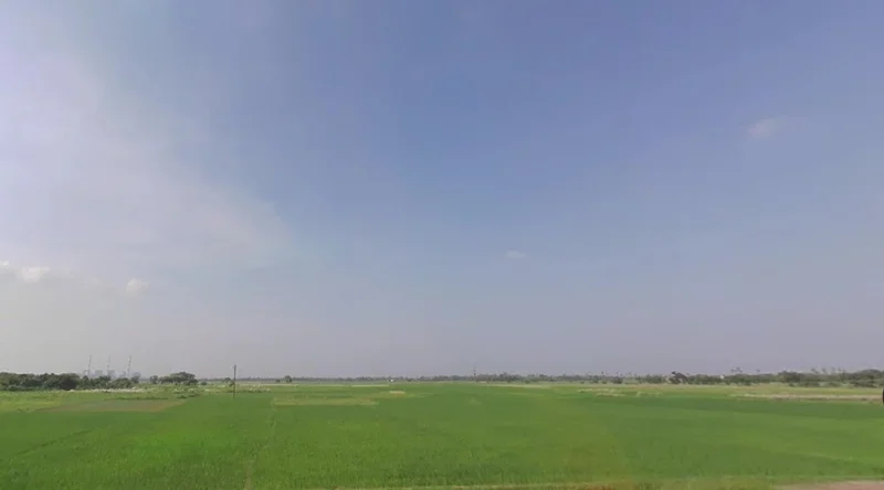 Bihari Bigha, Bihar 803214, India preview 2