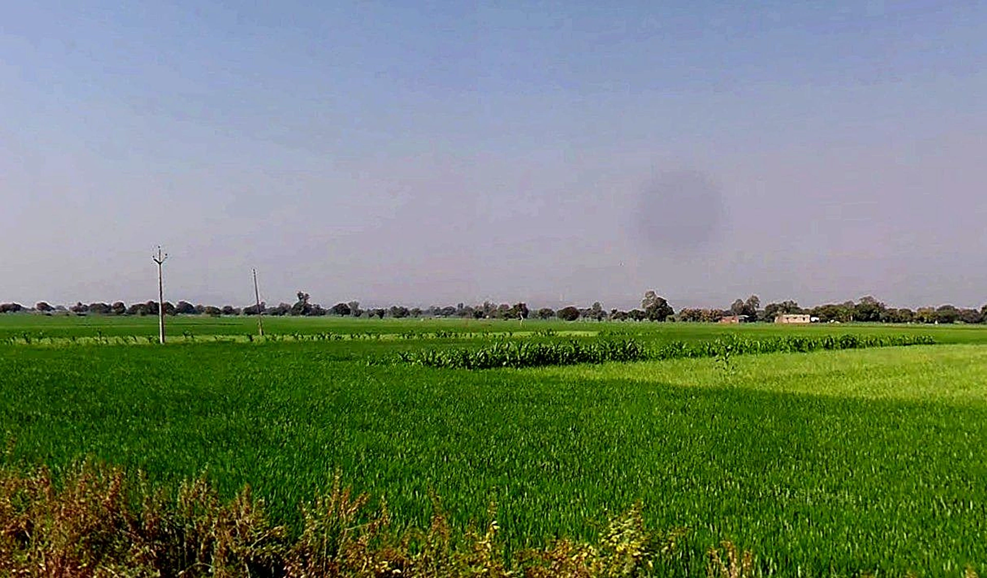 3PRM+428, Runija, Madhya Pradesh 456776, India