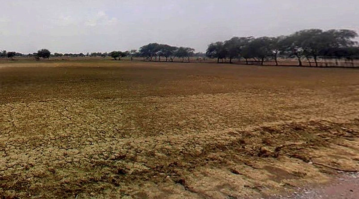 Jhusi, Uttar Pradesh 211019, India