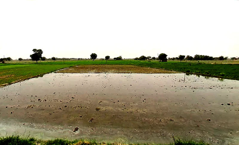 Pataudi, Haryana 122503, India preview 3