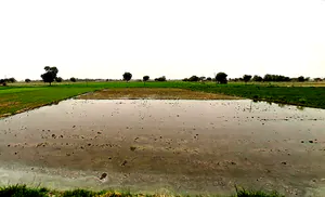 Pataudi, Haryana 122503, India preview 3