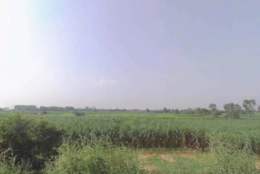 P456+QQ Palwada, Uttar Pradesh, India preview 3