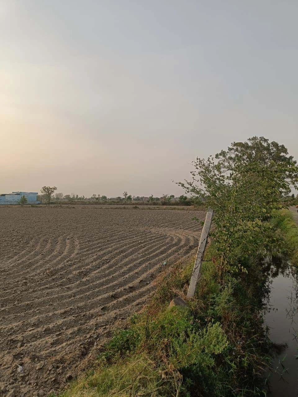 Chandauri, Uttar Pradesh, India