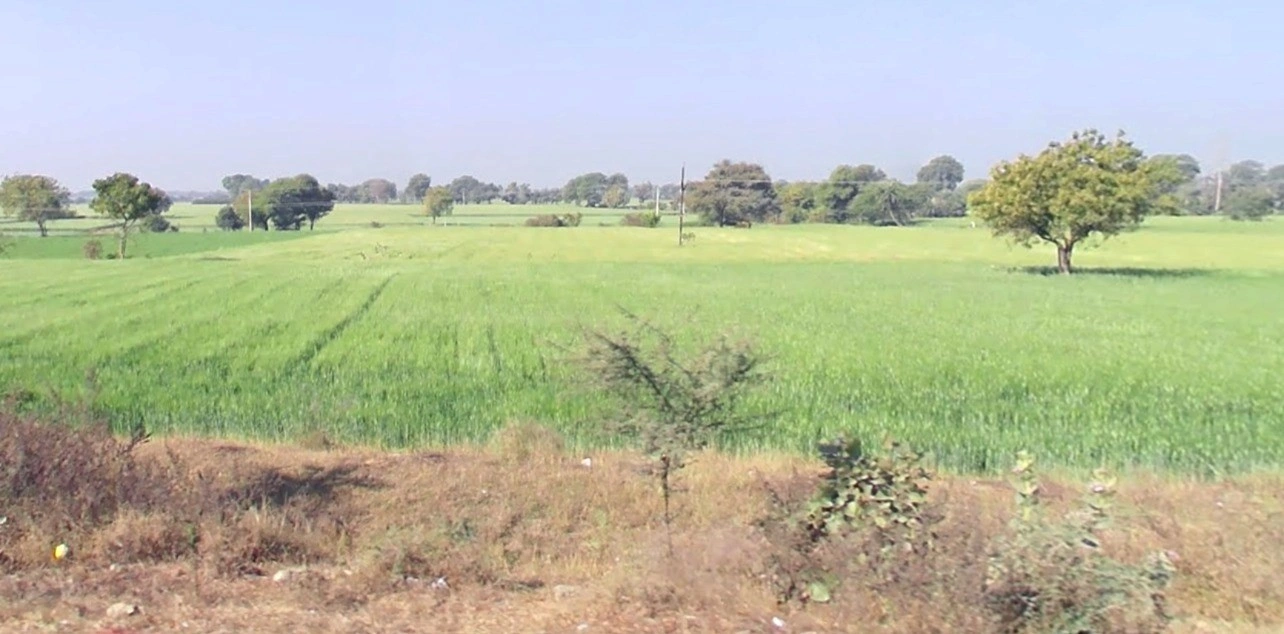 Dr. Ambedkar Nagar, Madhya Pradesh 453441, India