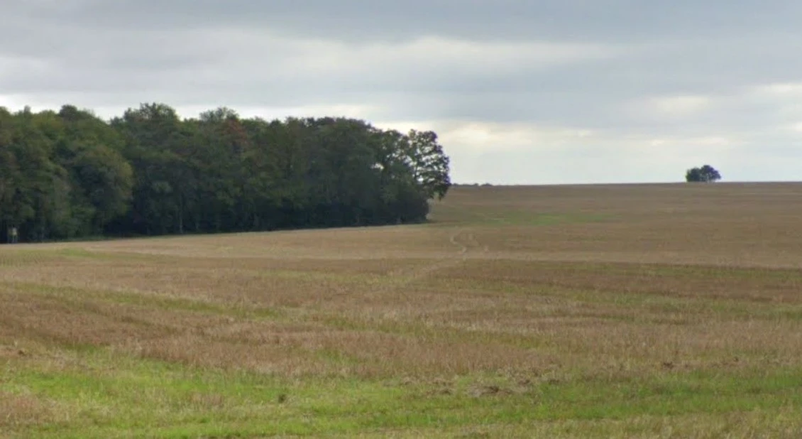 X34M+83C, Dewas, Madhya Pradesh 455001, India