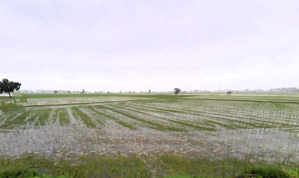 Madlauda, Haryana 132113, India