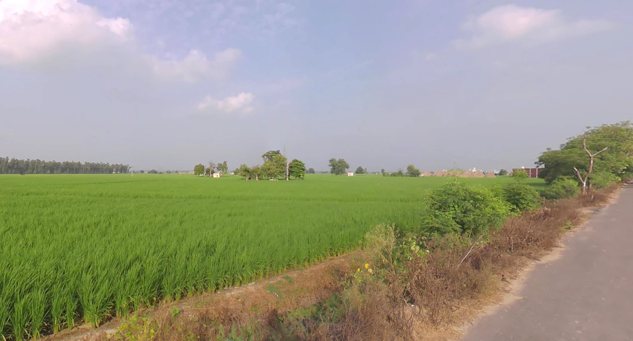 Mant, Uttar Pradesh 281202, India