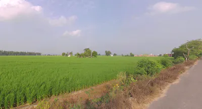 Mant, Uttar Pradesh 281202, India preview 3