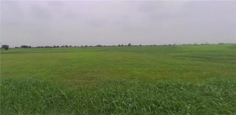Mirzapur, Madhya Pradesh 455221, India