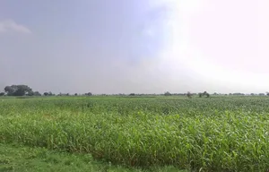 Paharsar, Rajasthan 321602, India preview 3