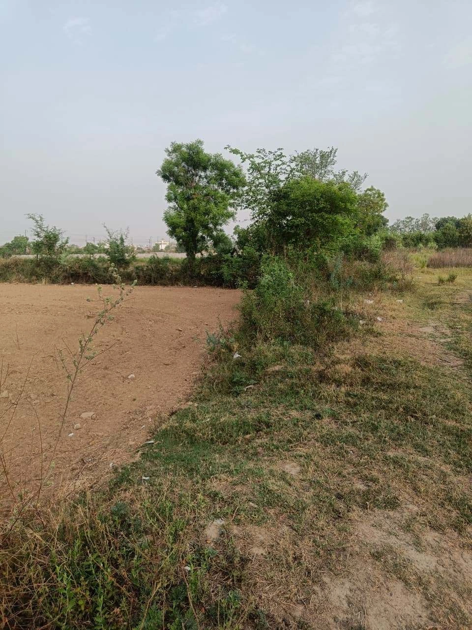 Ajhai Kalan, Uttar Pradesh 281406, India