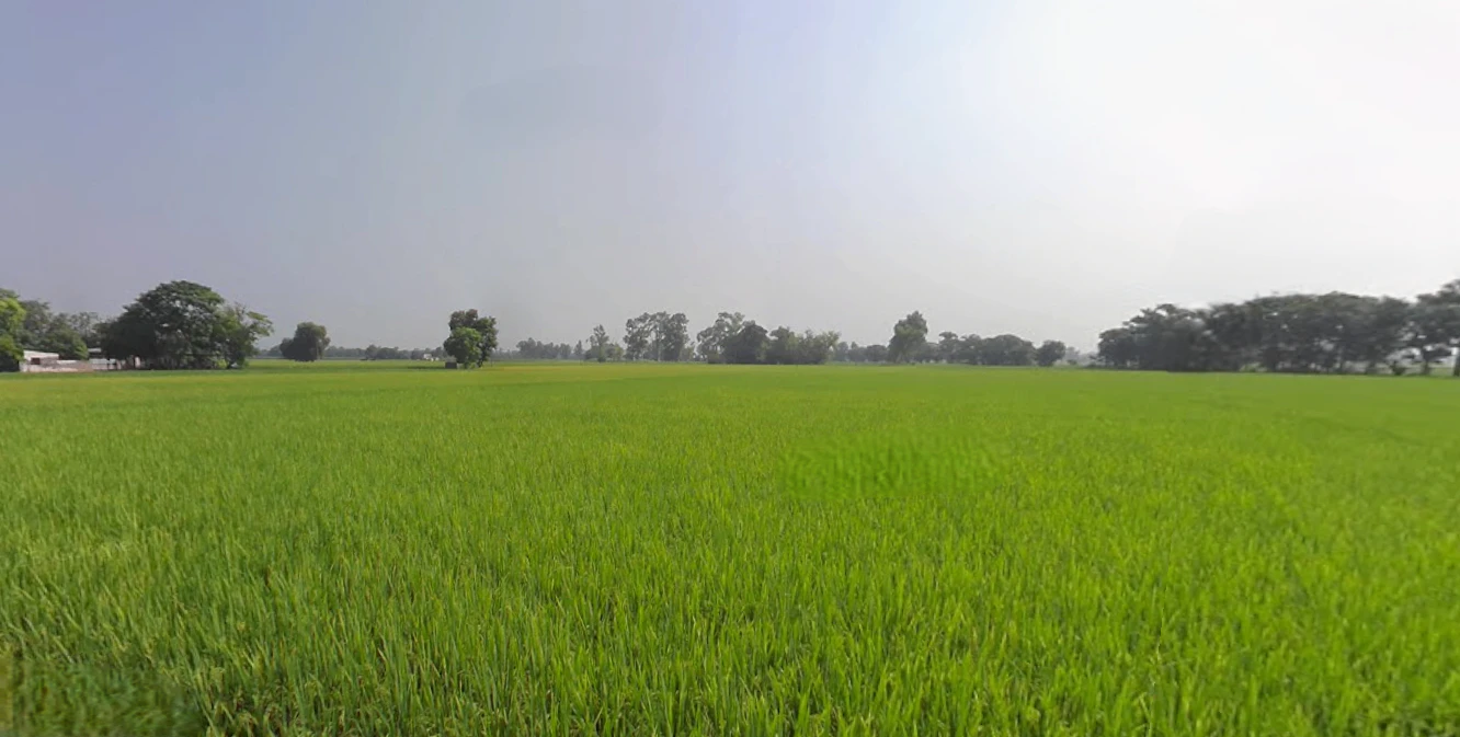 Shankar, Punjab 144042, India