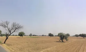 Jaisinghpur Khera, Haryana 123501, India preview 3