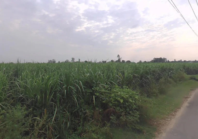 Ramraj, Uttar Pradesh, India