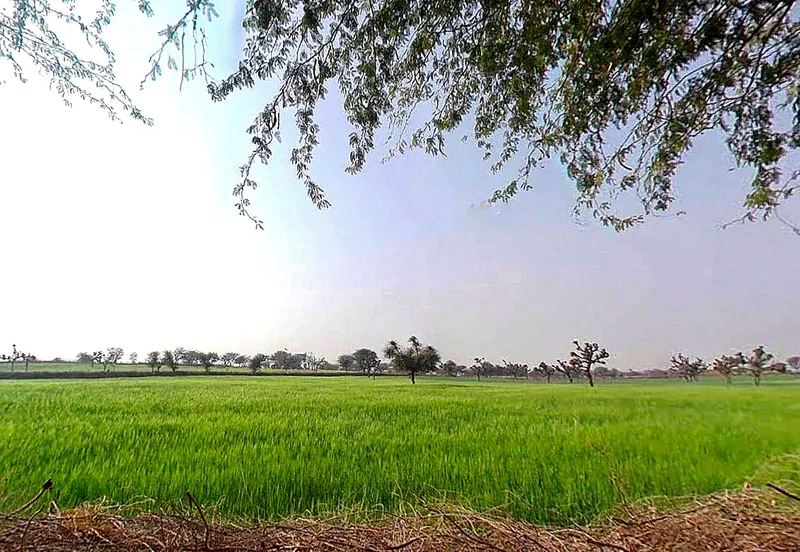 Nawa Bypass Hwy, Mohanpura, Rajasthan, India preview 2