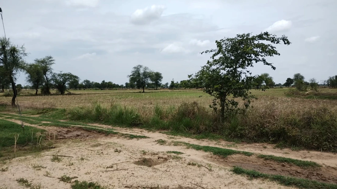 Barnagar, Madhya Pradesh 456771, India