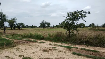 Barnagar, Madhya Pradesh 456771, India preview 3