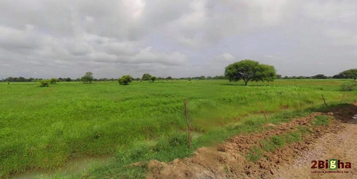 Chhatarpur, Madhya Pradesh 471001, India