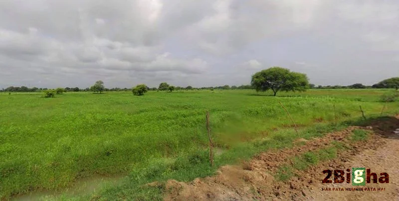 Chhatarpur, Madhya Pradesh 471001, India preview 3