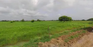 Chhatarpur, Madhya Pradesh 471001, India preview 3