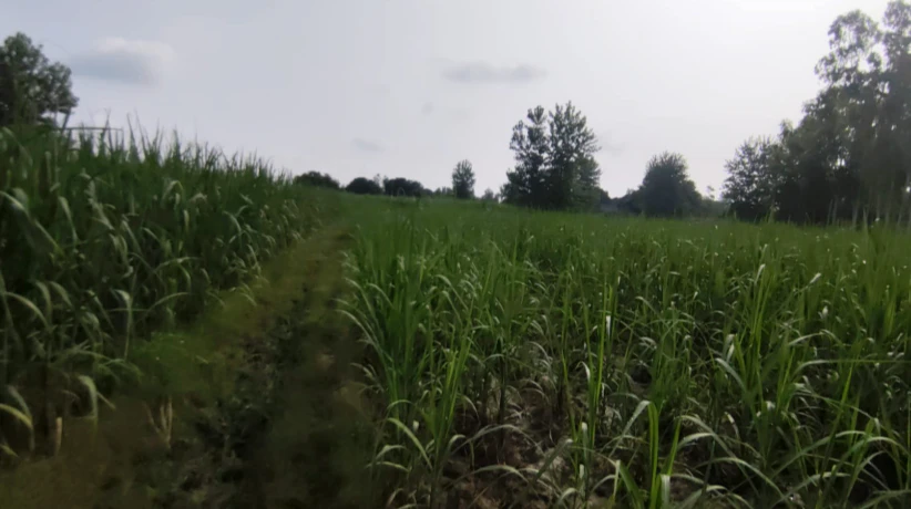 6HXG+54F, Saharanpur, Raipur, Uttar Pradesh 247121, India