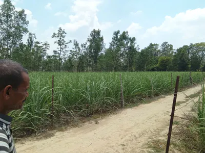 Bahargaon, Uttar Pradesh, India preview 4