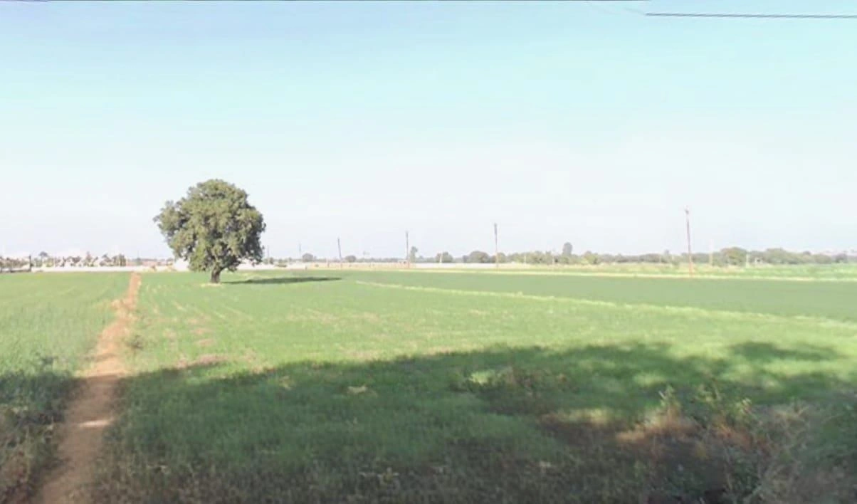 269, Paliya Rd, Paliya Haidar, Madhya Pradesh 453111, India