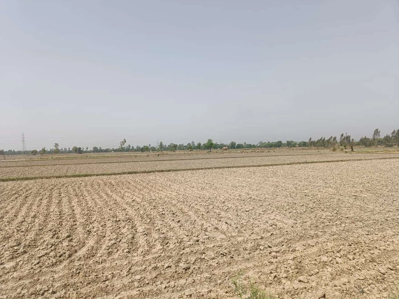 Aou, Rajasthan, India