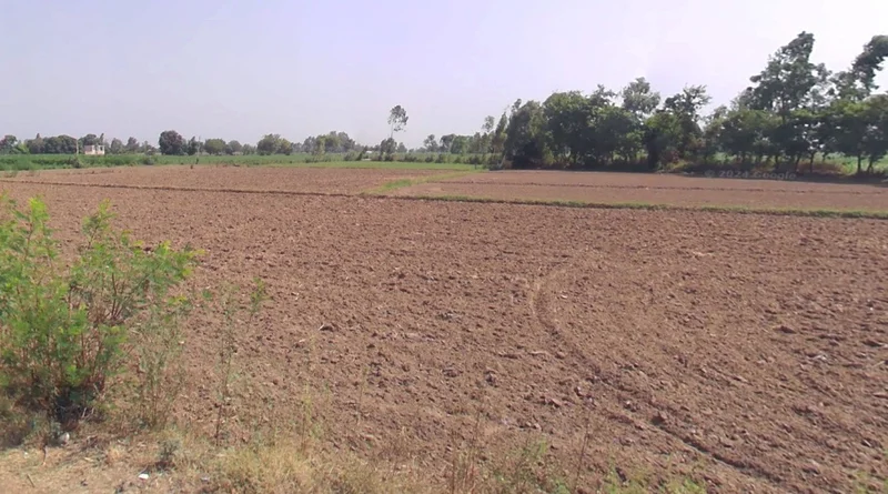 Ashothar, Uttar Pradesh 212620, India preview 3