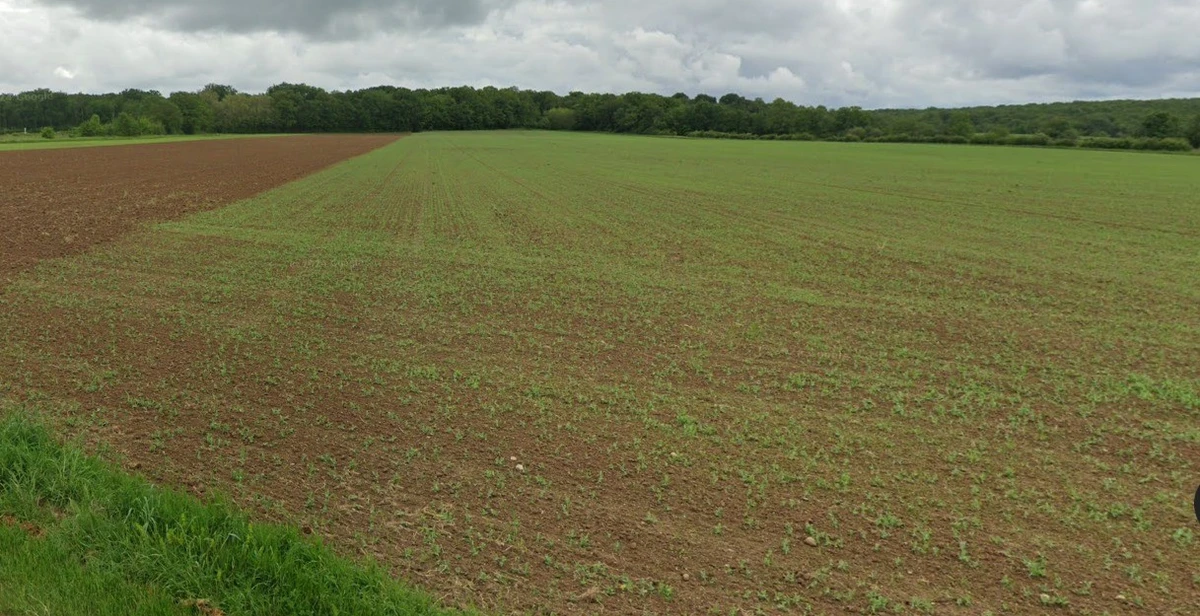 Panjra Kashiram, Madhya Pradesh 464672, India