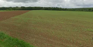 Panjra Kashiram, Madhya Pradesh 464672, India preview 2