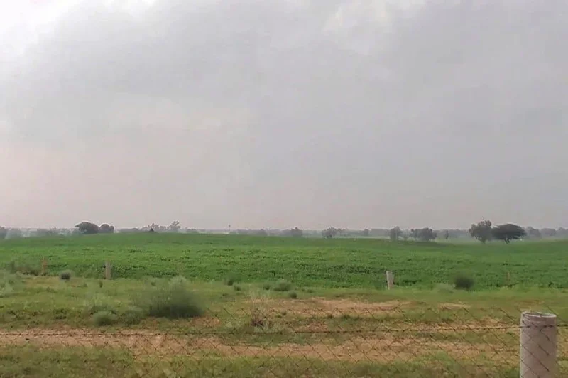 WVM8+576, Arjansar, Rajasthan 334604, India preview 2