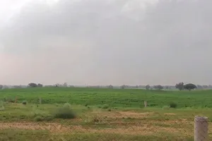 WVM8+576, Arjansar, Rajasthan 334604, India preview 2