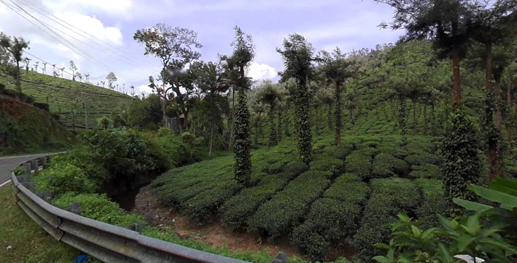 Kumily, Kerala, India