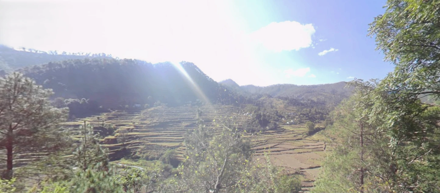 Jalna, Uttarakhand 263625, India preview 2