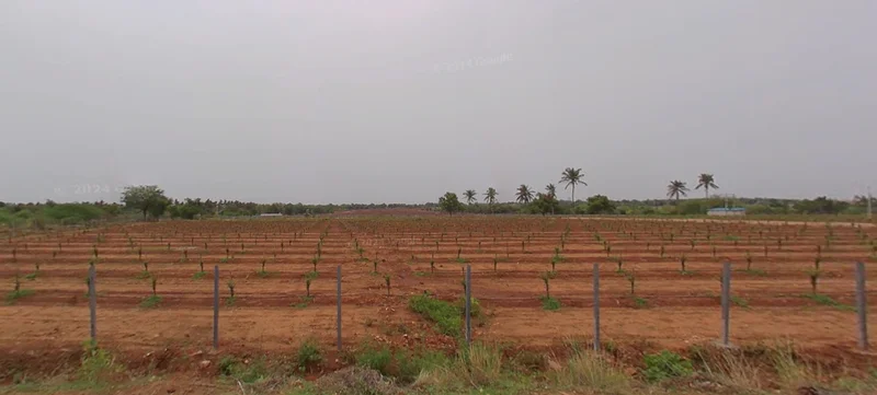 Palli, Karnataka 574244, India preview 3